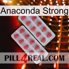 Anaconda Strong 19